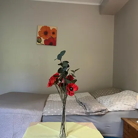 Guest house Zielony Domek 3*